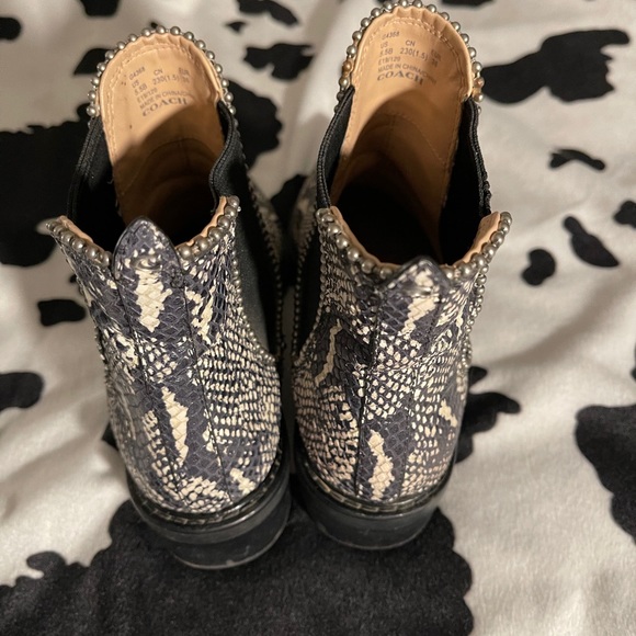 Women’s Python Boot & Belt ! - Picture 8 of 8